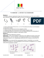 TD Mitose Et Chromosomes