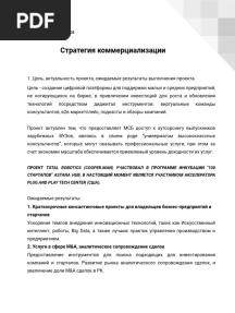 Стратегия коммерциализации