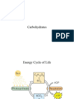 Carbohydrates