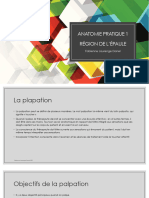 Anatomie Pratique Épaule PDF