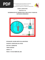 Quimica Laboratorio 02