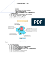 Animal & Plant Cells: Animals The Main Features of Animals