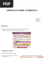 Aminoglycoside