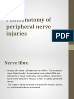 Pathoanatomy of Peripheral Nerve Injuries