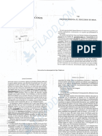 Chamorro J 2004 Clinica de La Psicosis Cap Esquizofrenia - El Discurso Es Real PP 141-162 Buenos Aires - Rolta