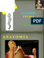 5-Cfc - Columna Vertebral