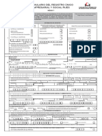 Formulario RUES