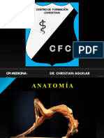 CFC - Inervación Vegetativa (Abd y Pelvis)