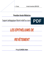 Épithliums de Revtement