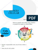 Aula 6 - Divisão Celular