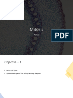 Cell Cycle & Mitosis