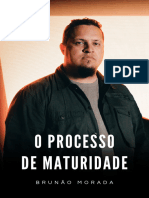 (MM) Ebbok o Processo de Maturidade