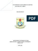 Influence of Nitrogen and Sulphur On Growth and Yield of Carrot