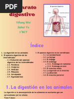 El Aparato Digestivo - 20240415 - 224947 - 0000