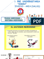 Sistema Nervioso (SIGMA)