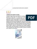 Cap. 1. - Introdução e Métodos de Estudo Da Célula