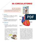 Sistema Circulatorio 123