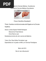 Articulo Cirrosis