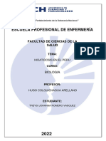 Investigación Hidatidosis