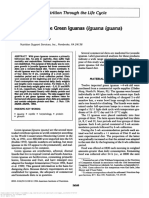 Donoghe (1994) Crecimiento de Juveniles Iguana Iguana