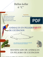 Animales en Peligro de Extinción Proyecto