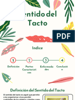 Sentido Del Tacto