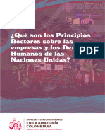 ¿Que Son Los Principios Rectores Sobre Las Empresas y Los Derechos Humanos de Las Naciones Unidas