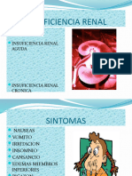 Insuficiencia Renal