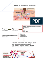 Marcadores de Inflamación. Bloque 4 Parte I