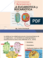 Sesion 2. Celula Eucariotica y Procariotica