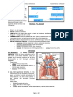 A 04 - Circulación Menor y Sistema Linfático