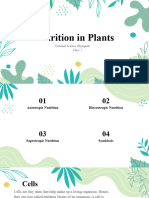 Nutrition in Plants