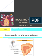 Endocrinología Iii