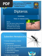 Dípteros