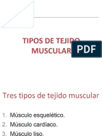 Anatomia y Fisiologia Muscular Bioingenieria Udea 2020