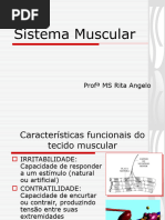 Sistema Muscular