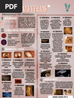 Infografia Biologia