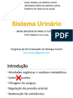 Aula - Sistema Urinario e Genitais M e F 0