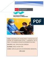 Tarea Mortalidad Neonatal en El Peru