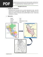 Resumen Ejecutivo - Sector Nuevo