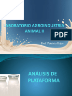 Practica 1 Analisis de Plataforma