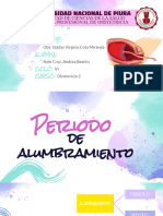 Periodo de Alumbramiento