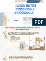 Relaciones Entre Endodoncia y Periodoncia