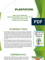 It Assignment Tree Plantation