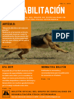 Pdfboletinesrehabilitacion Boletin 9 PDF