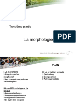 l1 s2 Linguistique Generale Morphologie