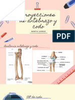 Proyecciones de Antebrazo y Codo