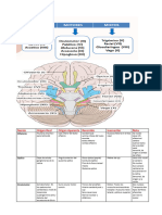 Cuadro Comparativo Pares Craneales (Examen)