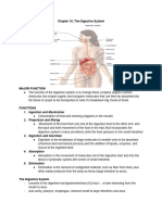 Chapter 16 - The Digestive System