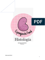 Resumen TP Histologia Uba